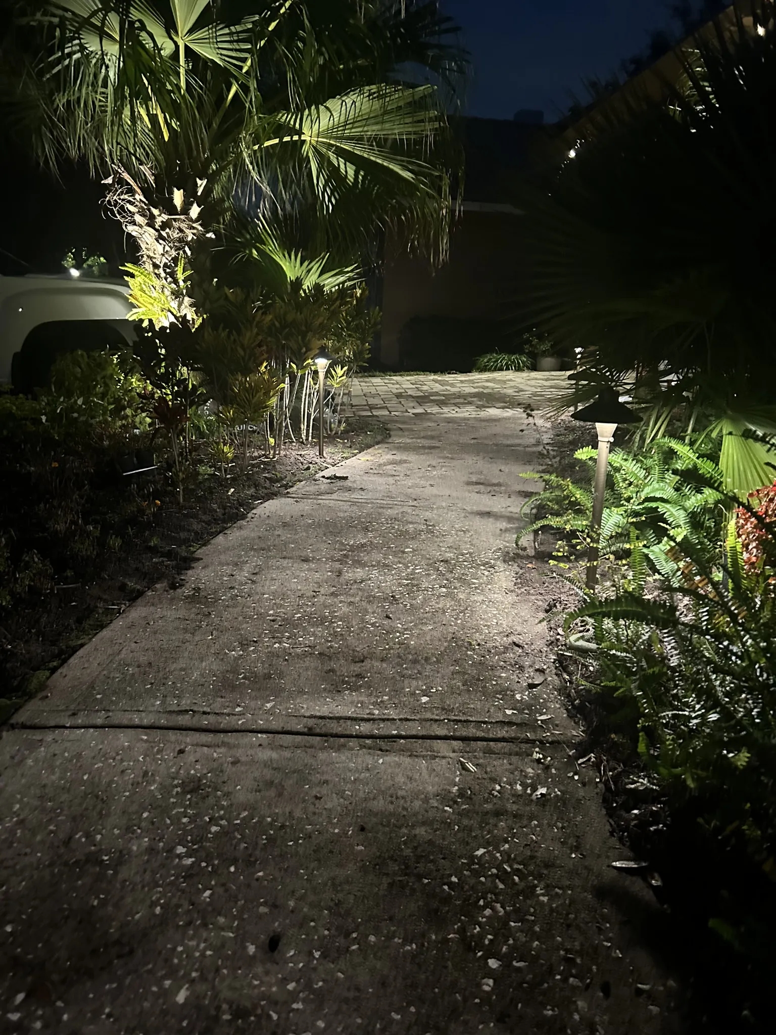 Soft, warm lighting casting a welcoming glow over a home's landscaping, highlighting the features and plants.