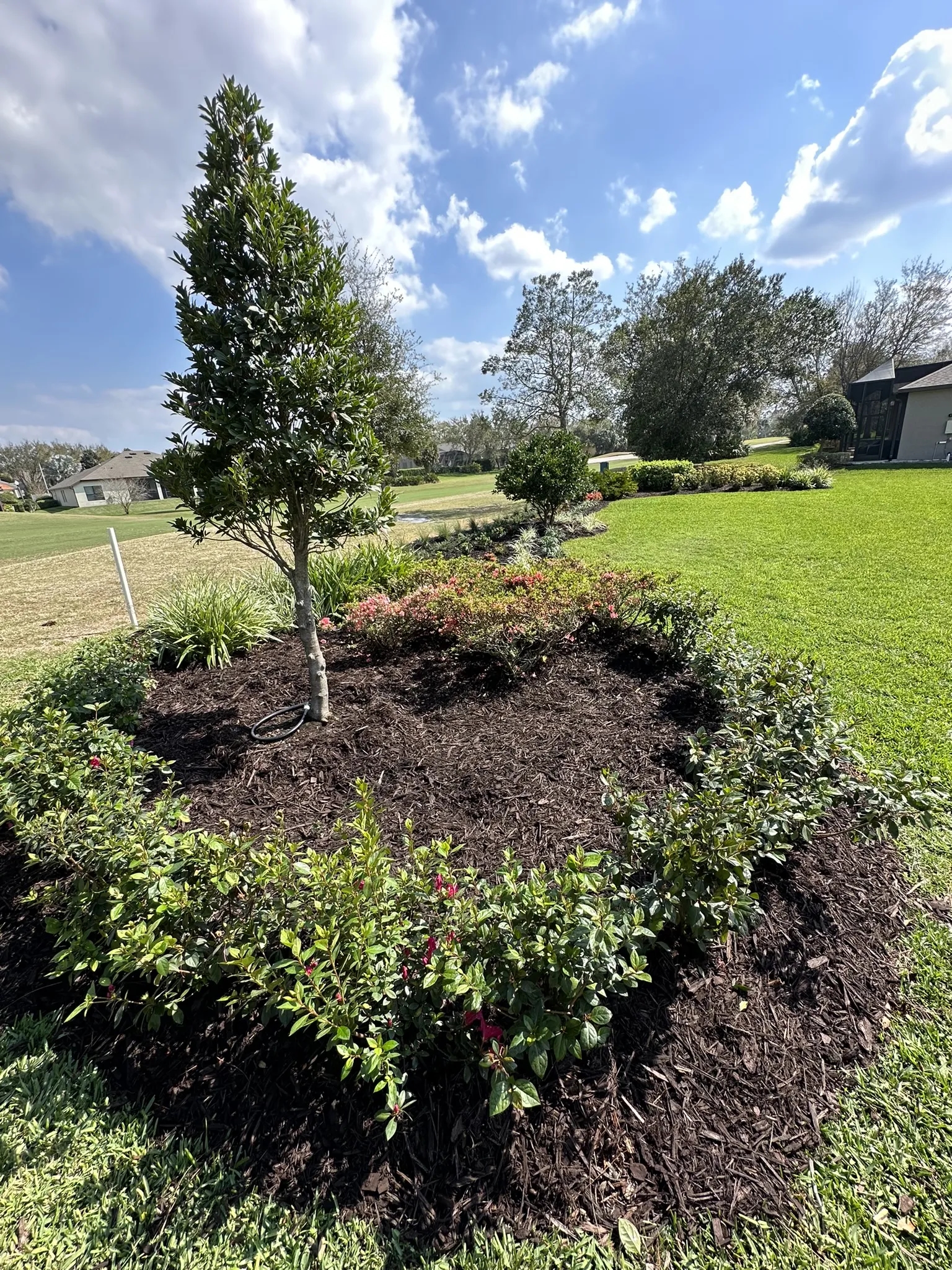 A sprinkler system is installed in a residential yard. The system is designed to water the lawn and plants.